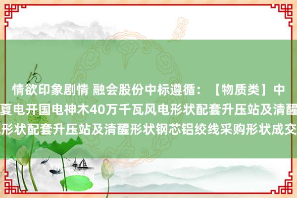 情欲印象剧情 融会股份中标遵循：【物质类】中国电建山东电建公司宁夏电开国电神木40万千瓦风电形状配套升压站及清醒形状钢芯铝绞线采购形状成交公示