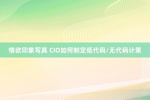 情欲印象写真 CIO如何制定低代码/无代码计策