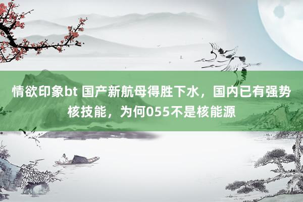 情欲印象bt 国产新航母得胜下水，国内已有强势核技能，为何055不是核能源