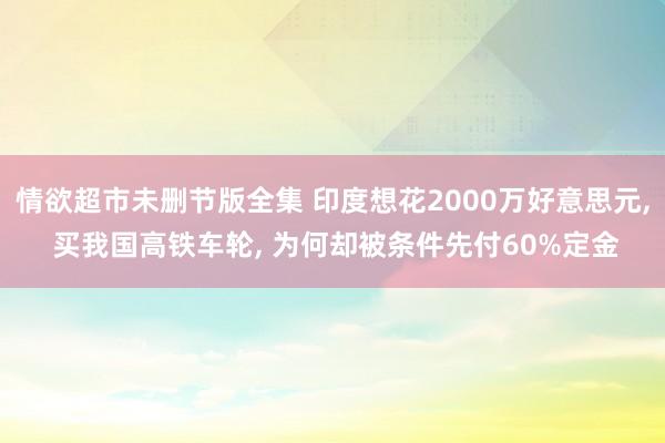 情欲超市未删节版全集 印度想花2000万好意思元， 买我国高铁车轮， 为何却被条件先付60%定金