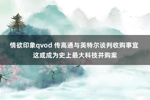 情欲印象qvod 传高通与英特尔谈判收购事宜 这或成为史上最大科技并购案