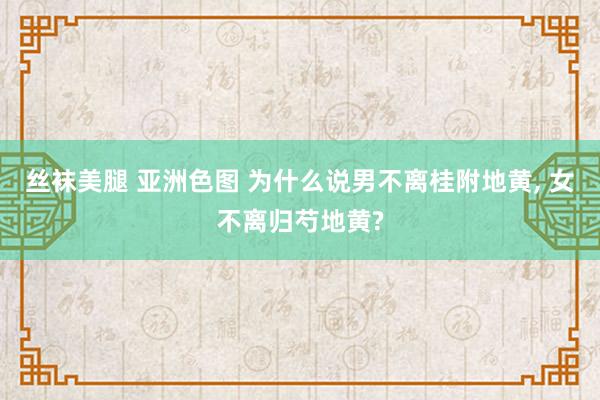 丝袜美腿 亚洲色图 为什么说男不离桂附地黄， 女不离归芍地黄?