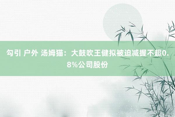 勾引 户外 汤姆猫：大鼓吹王健拟被迫减握不超0.8%公司股份