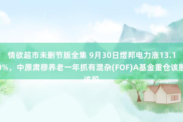 情欲超市未删节版全集 9月30日煜邦电力涨13.10%，中原肃穆养老一年抓有混杂(FOF)A基金重仓该股