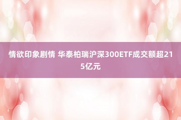 情欲印象剧情 华泰柏瑞沪深300ETF成交额超215亿元