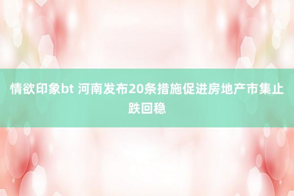 情欲印象bt 河南发布20条措施促进房地产市集止跌回稳