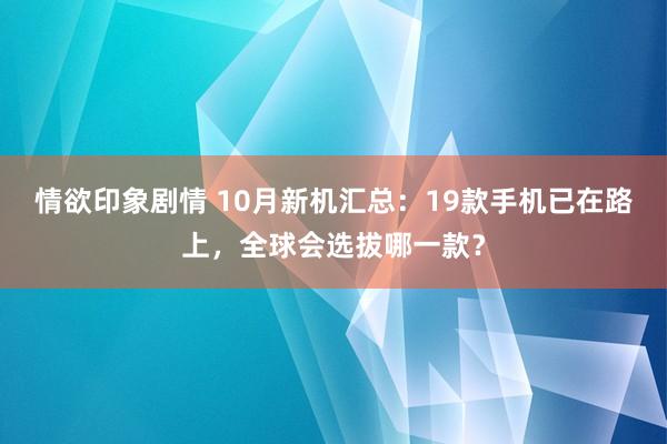 情欲印象剧情 10月新机汇总：19款手机已在路上，全球会选拔哪一款？