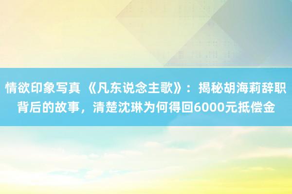 情欲印象写真 《凡东说念主歌》：揭秘胡海莉辞职背后的故事，清楚沈琳为何得回6000元抵偿金