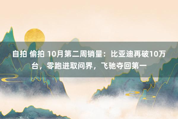 自拍 偷拍 10月第二周销量：比亚迪再破10万台，零跑进取问界，飞驰夺回第一