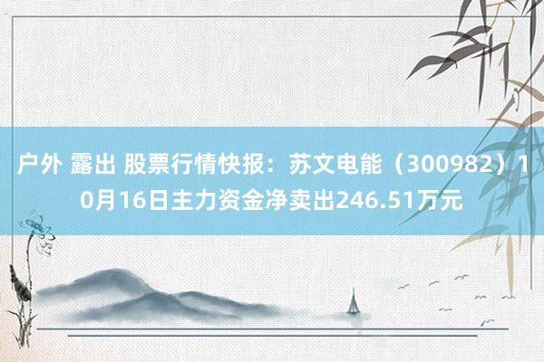 户外 露出 股票行情快报：苏文电能（300982）10月16日主力资金净卖出246.51万元