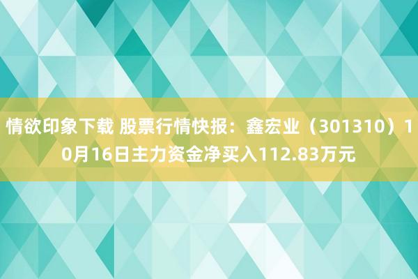 情欲印象下载 股票行情快报：鑫宏业（301310）10月16日主力资金净买入112.83万元