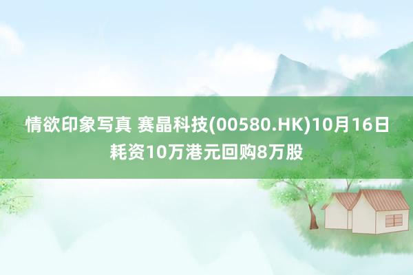 情欲印象写真 赛晶科技(00580.HK)10月16日耗资10万港元回购8万股