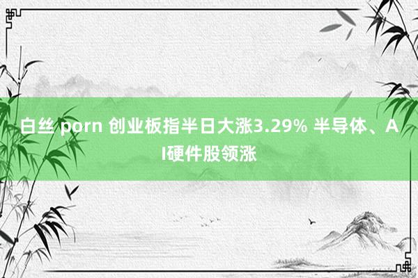 白丝 porn 创业板指半日大涨3.29% 半导体、AI硬件股领涨