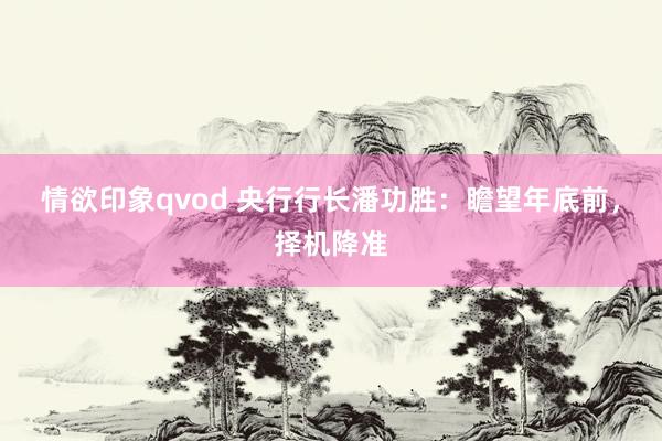 情欲印象qvod 央行行长潘功胜：瞻望年底前，择机降准