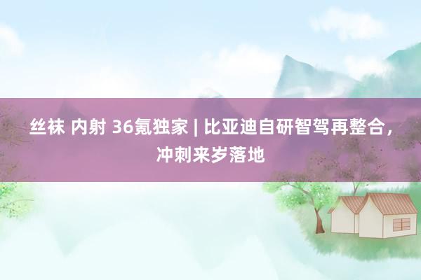 丝袜 内射 36氪独家 | 比亚迪自研智驾再整合，冲刺来岁落地