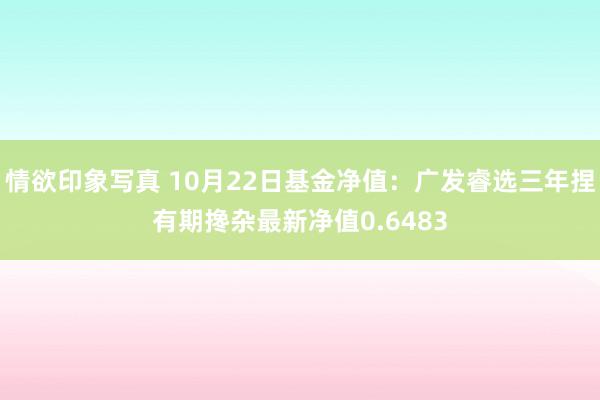 情欲印象写真 10月22日基金净值：广发睿选三年捏有期搀杂最新净值0.6483