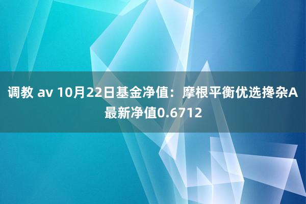 调教 av 10月22日基金净值：摩根平衡优选搀杂A最新净值0.6712