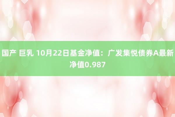 国产 巨乳 10月22日基金净值：广发集悦债券A最新净值0.987