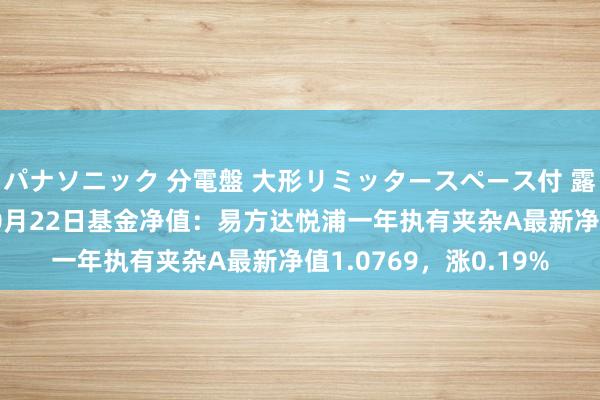 パナソニック 分電盤 大形リミッタースペース付 露出・半埋込両用形 10月22日基金净值：易方达悦浦一年执有夹杂A最新净值1.0769，涨0.19%