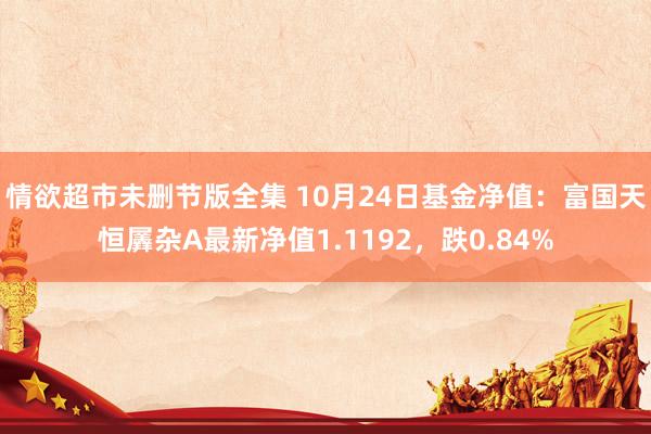 情欲超市未删节版全集 10月24日基金净值：富国天恒羼杂A最新净值1.1192，跌0.84%