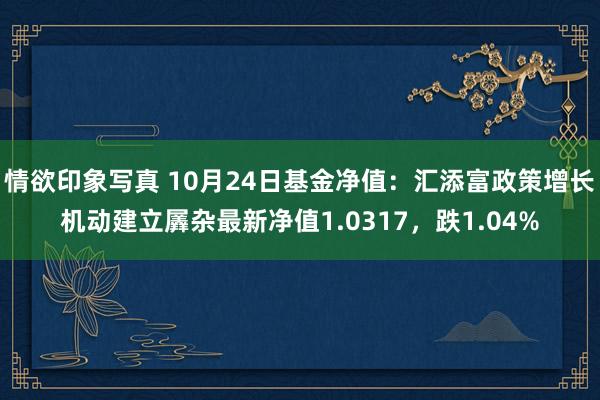 情欲印象写真 10月24日基金净值：汇添富政策增长机动建立羼杂最新净值1.0317，跌1.04%