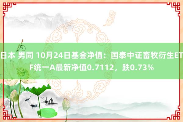 日本 男同 10月24日基金净值：国泰中证畜牧衍生ETF统一A最新净值0.7112，跌0.73%