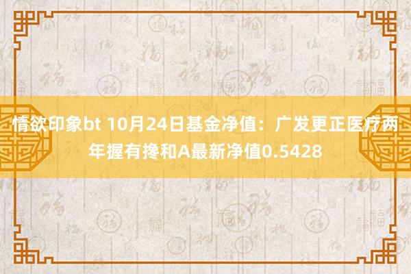 情欲印象bt 10月24日基金净值：广发更正医疗两年握有搀和A最新净值0.5428