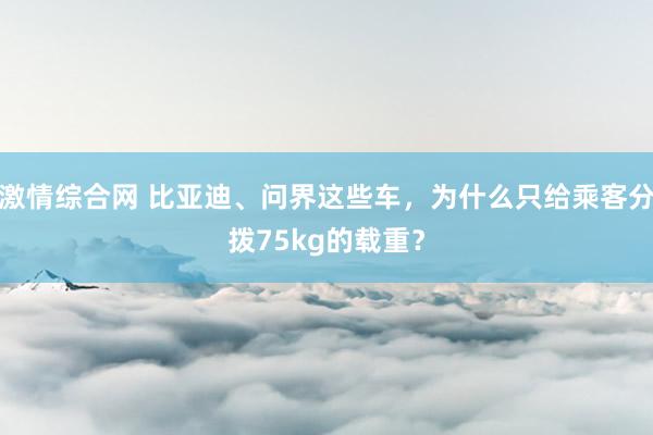 激情综合网 比亚迪、问界这些车，为什么只给乘客分拨75kg的载重？