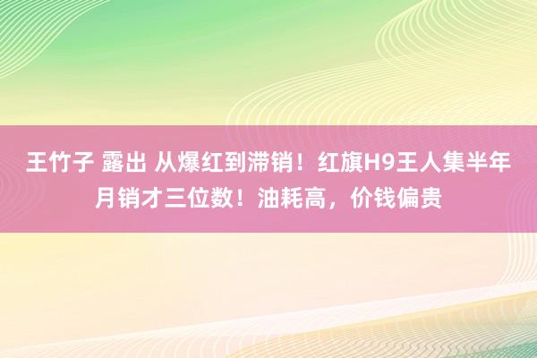 王竹子 露出 从爆红到滞销！红旗H9王人集半年月销才三位数！油耗高，价钱偏贵