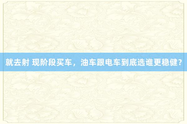 就去射 现阶段买车，油车跟电车到底选谁更稳健？