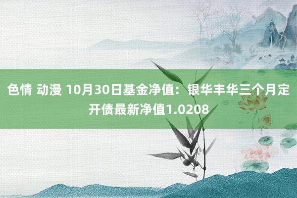 色情 动漫 10月30日基金净值：银华丰华三个月定开债最新净值1.0208