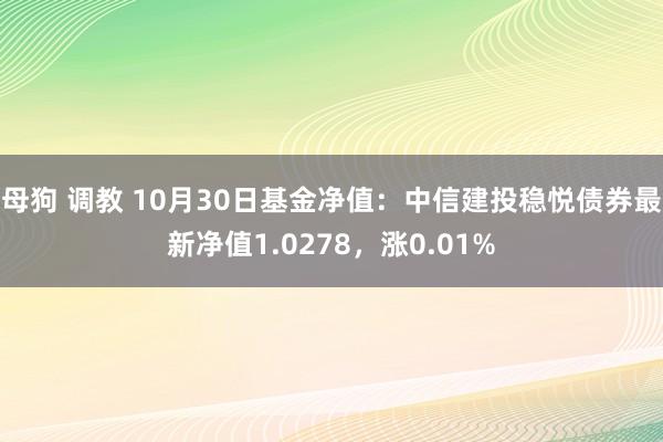 母狗 调教 10月30日基金净值：中信建投稳悦债券最新净值1.0278，涨0.01%