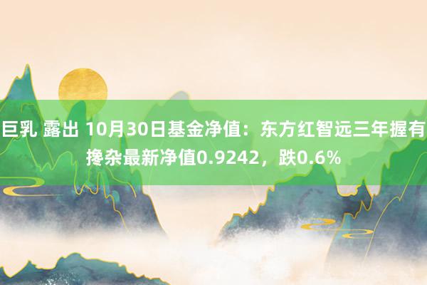 巨乳 露出 10月30日基金净值：东方红智远三年握有搀杂最新净值0.9242，跌0.6%