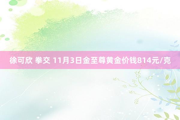 徐可欣 拳交 11月3日金至尊黄金价钱814元/克