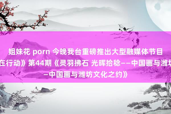 姐妹花 porn 今晚我台重磅推出大型融媒体节目《潍坊文化在行动》第44期《灵羽拂石 光晖拾稔——中国画与潍坊文化之约》