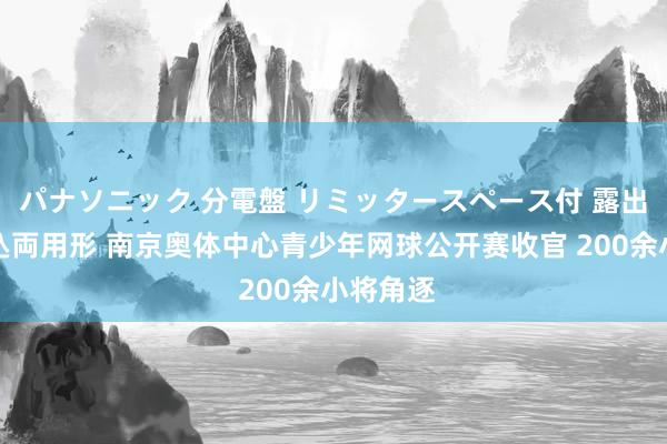 パナソニック 分電盤 リミッタースペース付 露出・半埋込両用形 南京奥体中心青少年网球公开赛收官 200余小将角逐