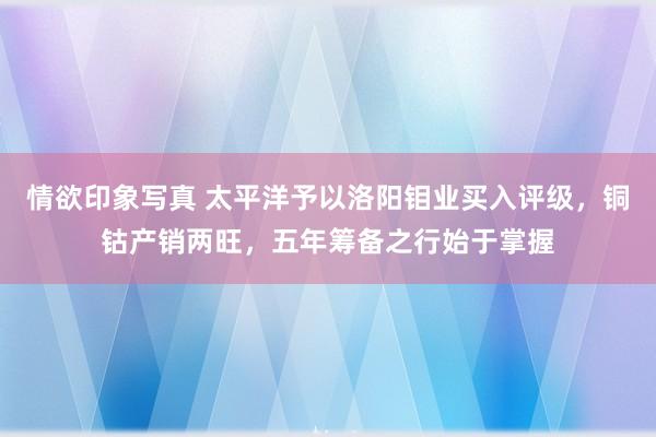 情欲印象写真 太平洋予以洛阳钼业买入评级，铜钴产销两旺，五年筹备之行始于掌握