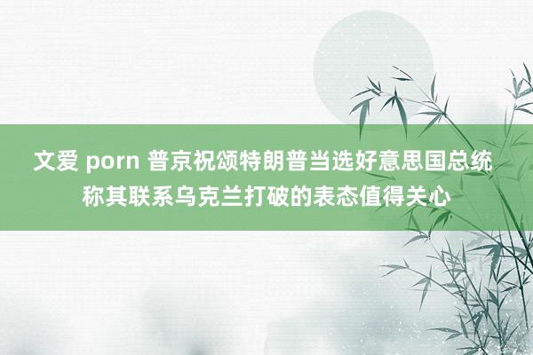 文爱 porn 普京祝颂特朗普当选好意思国总统 称其联系乌克兰打破的表态值得关心