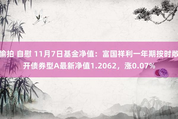 偷拍 自慰 11月7日基金净值：富国祥利一年期按时敞开债券型A最新净值1.2062，涨0.07%