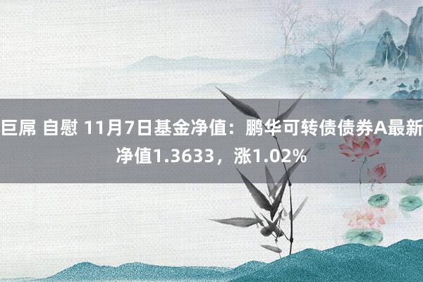 巨屌 自慰 11月7日基金净值：鹏华可转债债券A最新净值1.3633，涨1.02%