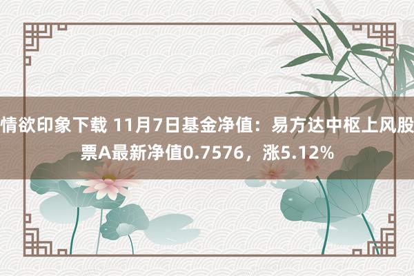 情欲印象下载 11月7日基金净值：易方达中枢上风股票A最新净值0.7576，涨5.12%