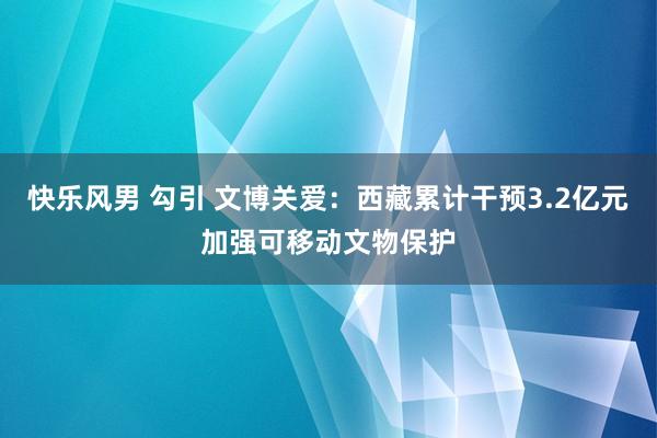 快乐风男 勾引 文博关爱：西藏累计干预3.2亿元加强可移动文物保护