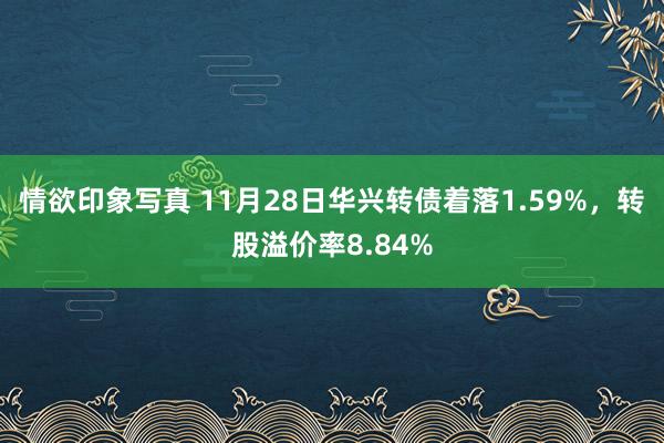 情欲印象写真 11月28日华兴转债着落1.59%，转股溢价率8.84%