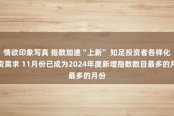 情欲印象写真 指数加速“上新” 知足投资者各样化投资需求 11月份已成为2024年度新增指数数目最多的月份