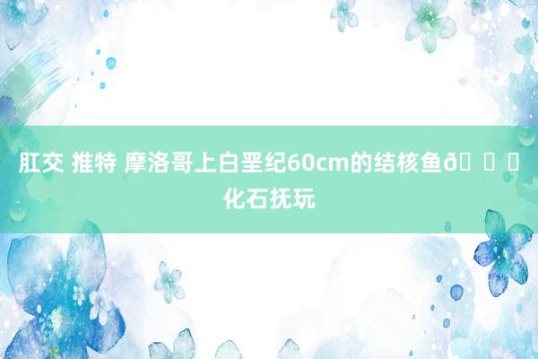 肛交 推特 摩洛哥上白垩纪60cm的结核鱼🐟化石抚玩