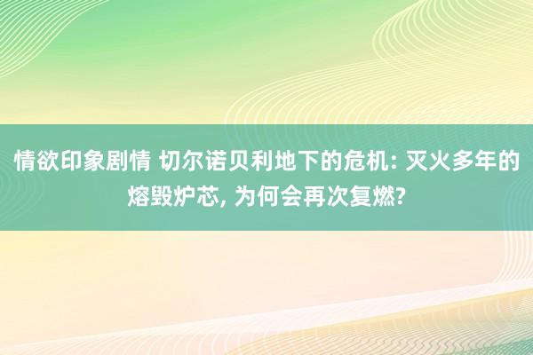 情欲印象剧情 切尔诺贝利地下的危机: 灭火多年的熔毁炉芯， 为何会再次复燃?