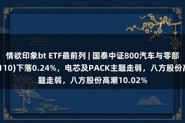 情欲印象bt ETF最前列 | 国泰中证800汽车与零部件ETF(516110)下落0.24%，电芯及PACK主题走弱，八方股份高潮10.02%