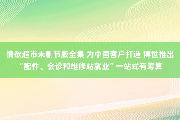 情欲超市未删节版全集 为中国客户打造 博世推出“配件、会诊和维修站就业”一站式有筹算