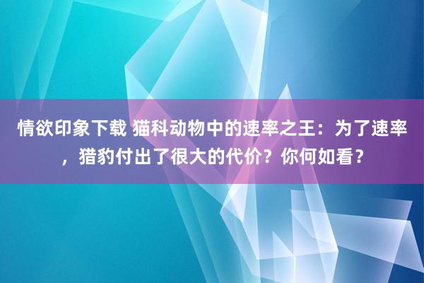 情欲印象下载 猫科动物中的速率之王：为了速率，猎豹付出了很大的代价？你何如看？