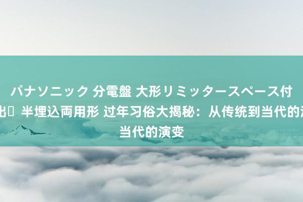 パナソニック 分電盤 大形リミッタースペース付 露出・半埋込両用形 过年习俗大揭秘：从传统到当代的演变